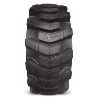 30x10-16 D230 WORKBOSS R4 ASSEMBLIES (8x8 LH / 10-16.5)